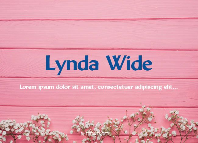 Lynda Wide example